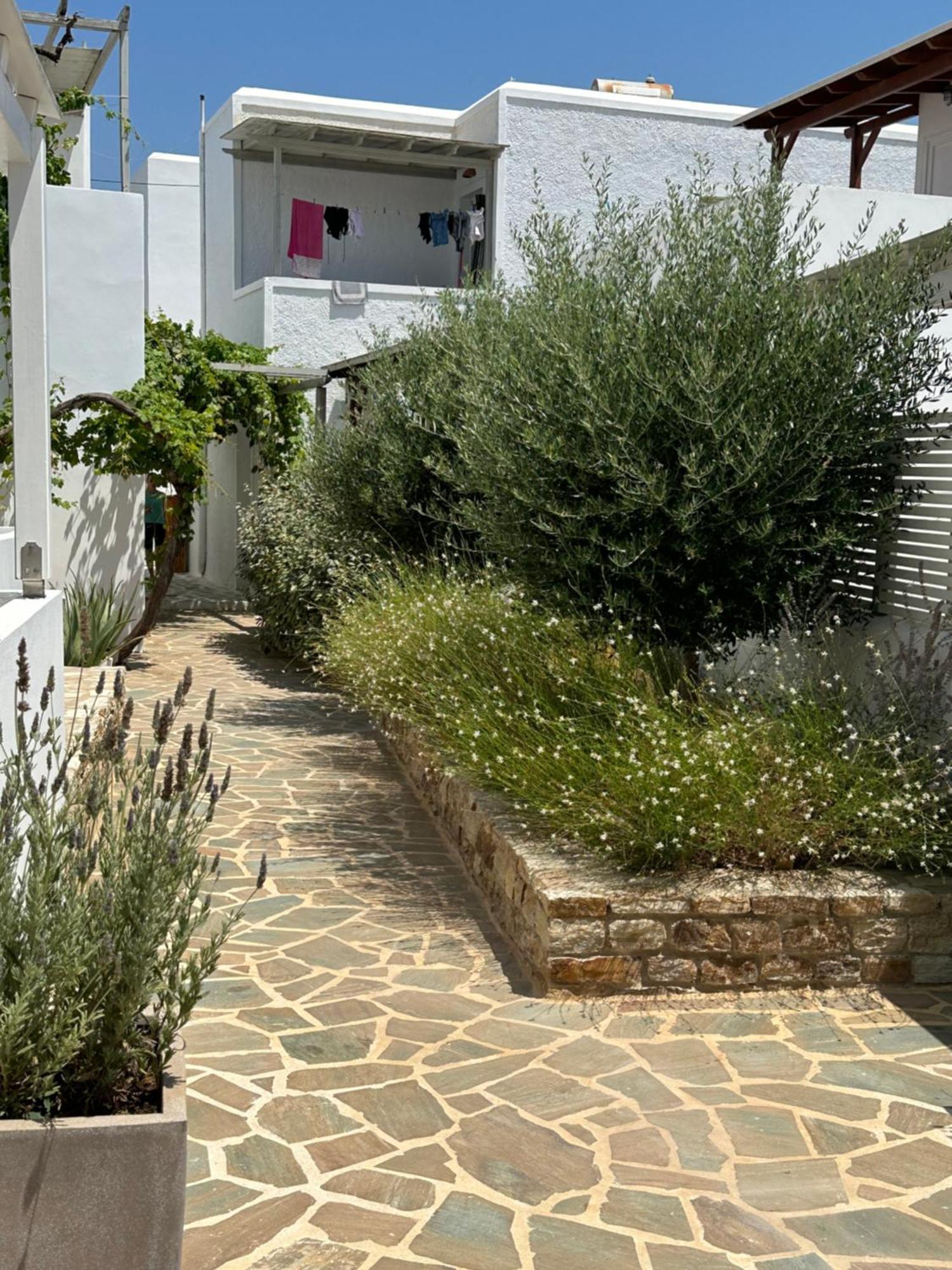 Levanda Guest Houses Andíparos Exterior foto